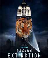 Racing Extinction /   